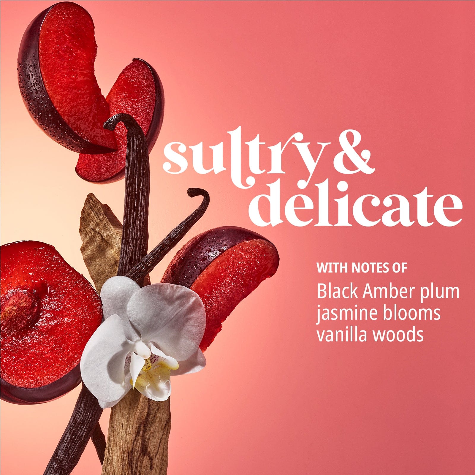 Sultry & delicate with notes of black amber plum, jasmine blooms, vanilla woods