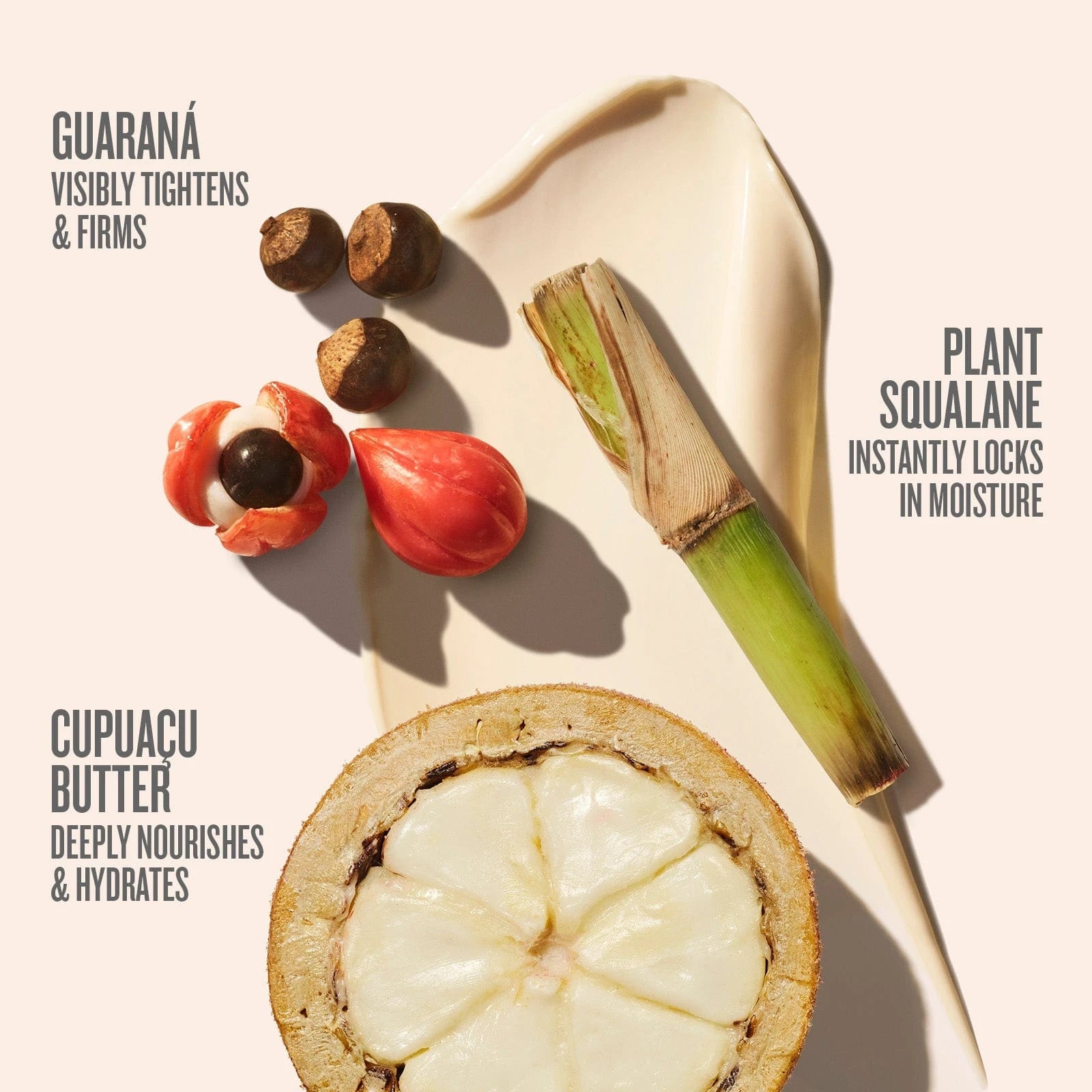 This is an image showing the different ingredients that go into Sol de Janeiro Brazilian Bum Bum Cream. The key ingredients include, Guarana, Plant Squalane, and Cupuacu Butter.
The copy on the image is as follows: guarana visibly tightens and firms, plant squalane instantly locks in moisture, cupuacu butter deeply nourishes and hydration.