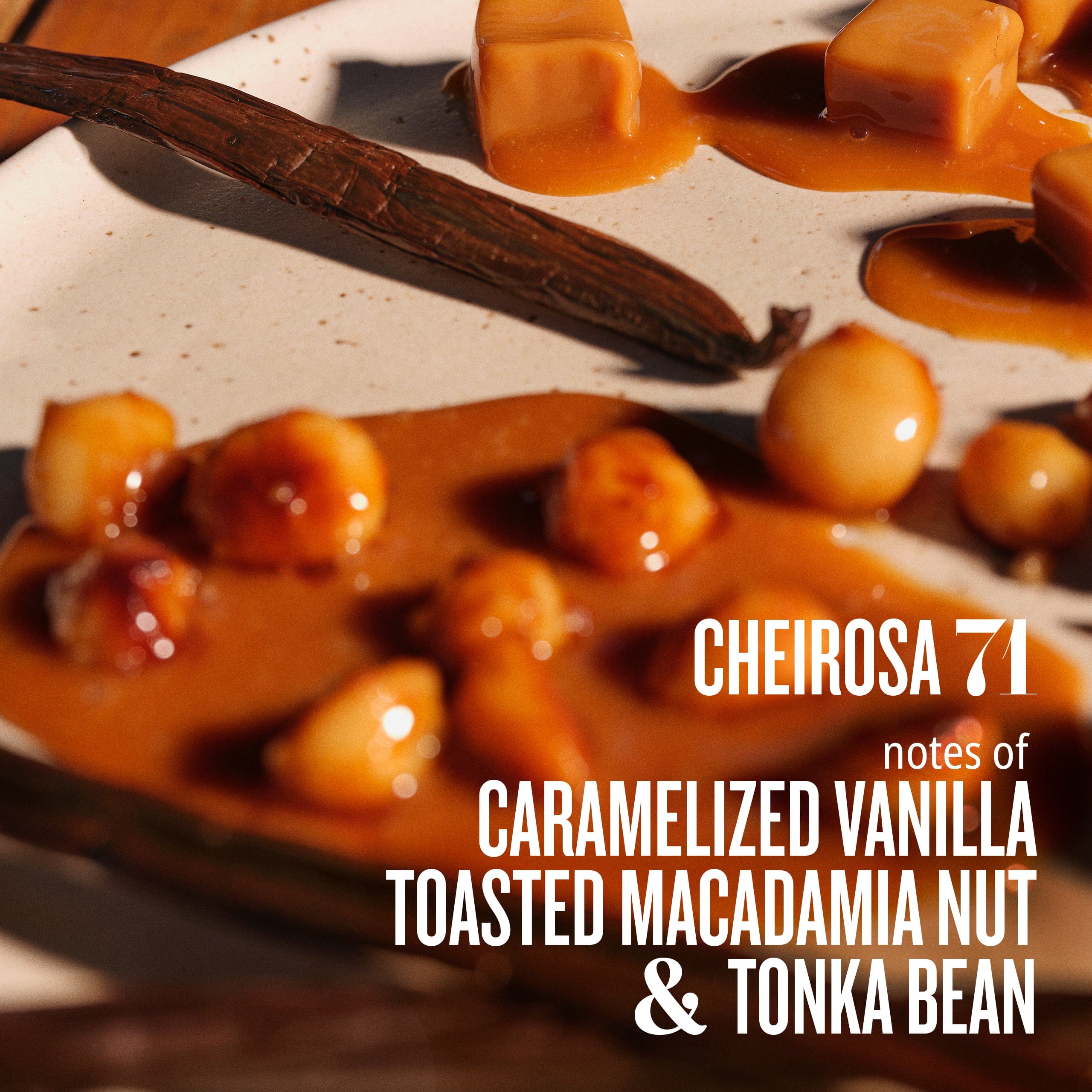 cheirosa 71 notes of caramelized vanilla toasted macadamia nut & tonka bean